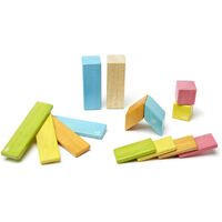 Tegu - Magnetic Wooden Blocks 14pc - Tints